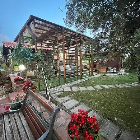 Marino 4* جريسوليا